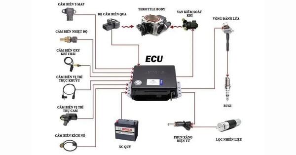 Bộ điều khiển điện tử (ECU) đóng vai trò xử lý tín hiệu từ các cảm biến