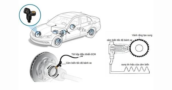 Cảm biến giúp hệ thống xác định khi nào xe đang dừng hoặc cần giữ phanh