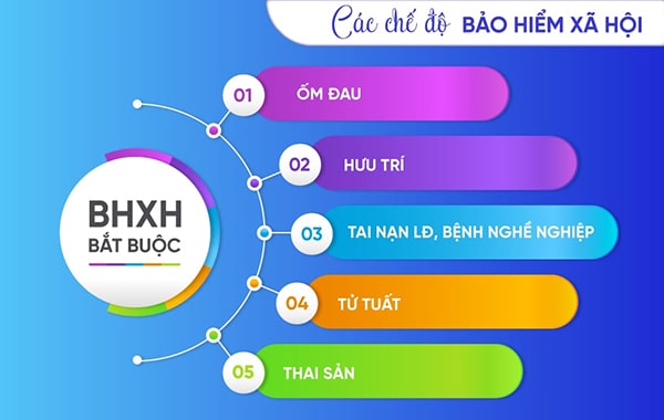 Chính sách bảo hiểm xã hội tự nguyện